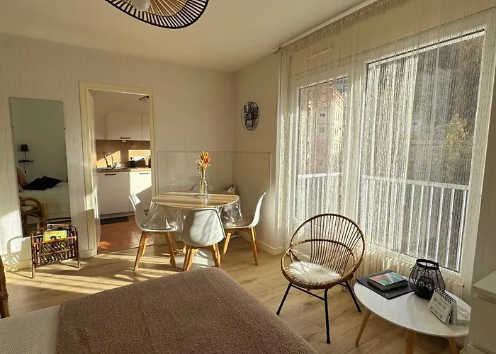 Grand Lumineux Avec Balcon Et Wifi, Avec Piscine - Fr-1-555-122 * エクスレバン